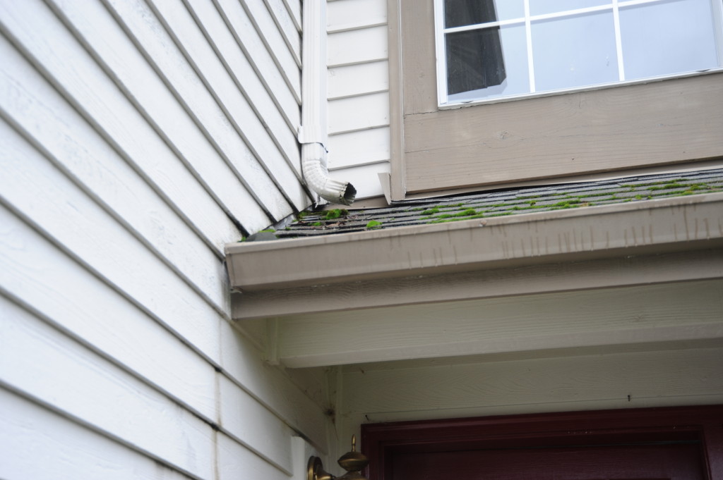 Clean the gutters.  Touch up paint where the water has been running down the side of the house.