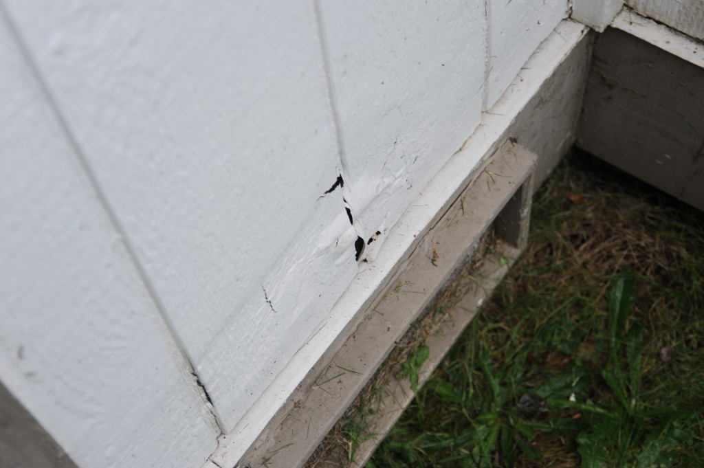 Hole in siding near faucet.  Replace that portion of siding.  