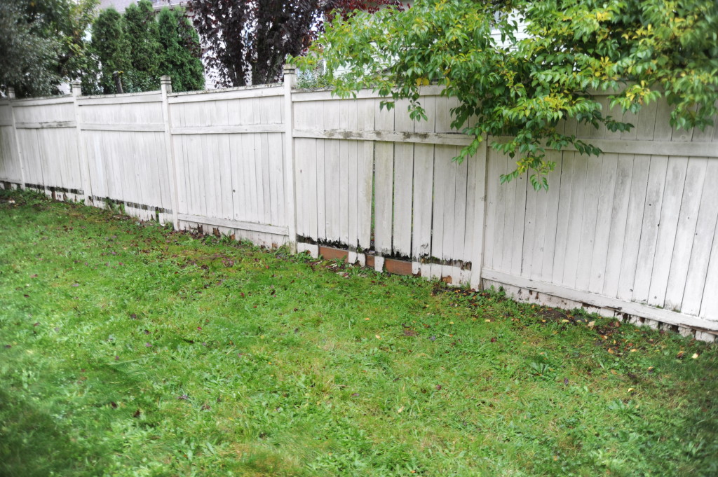 Fence is in disrepair and has some dry rot.  Might be an easier fix than it looks, and put some shrubs in front of the fence.  