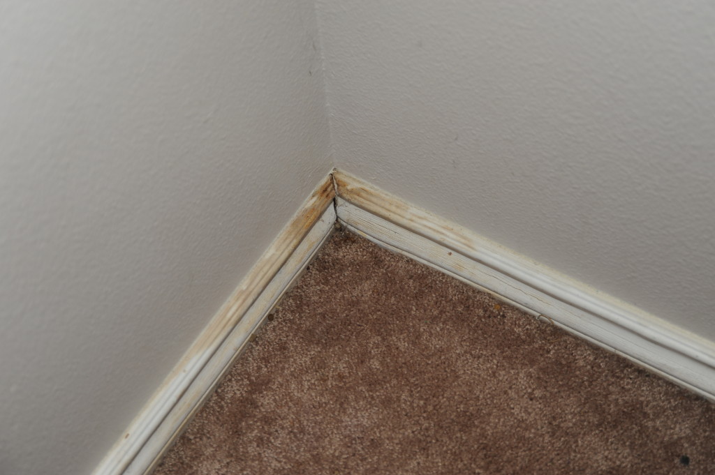 Old and discolored baseboards.  Compared a 2012 photo to this one.  Virtually identical.  