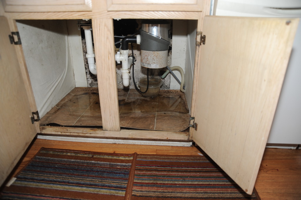 Standing water, and water damage under the sink.  Recommend a qualified plumber do the repairs.