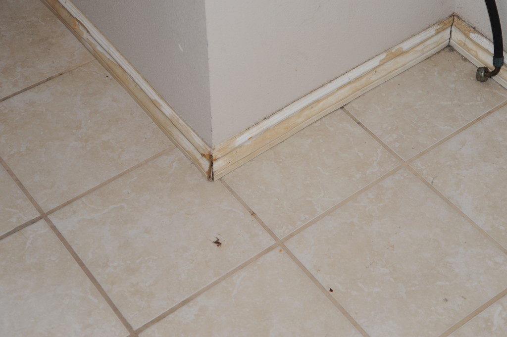 Laundry room baseboards.  Floor is ok.  Just need to paint in laundry room and replace or paint baseboards.