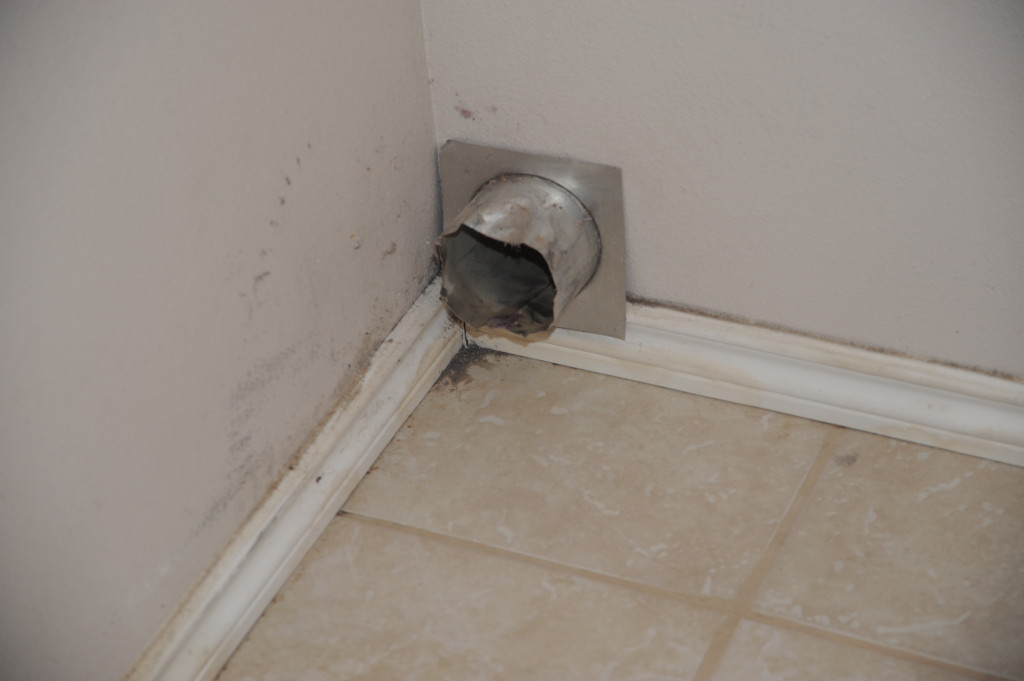 Will put some steel wool or a screen over the dryer vent to keep out the mice.  