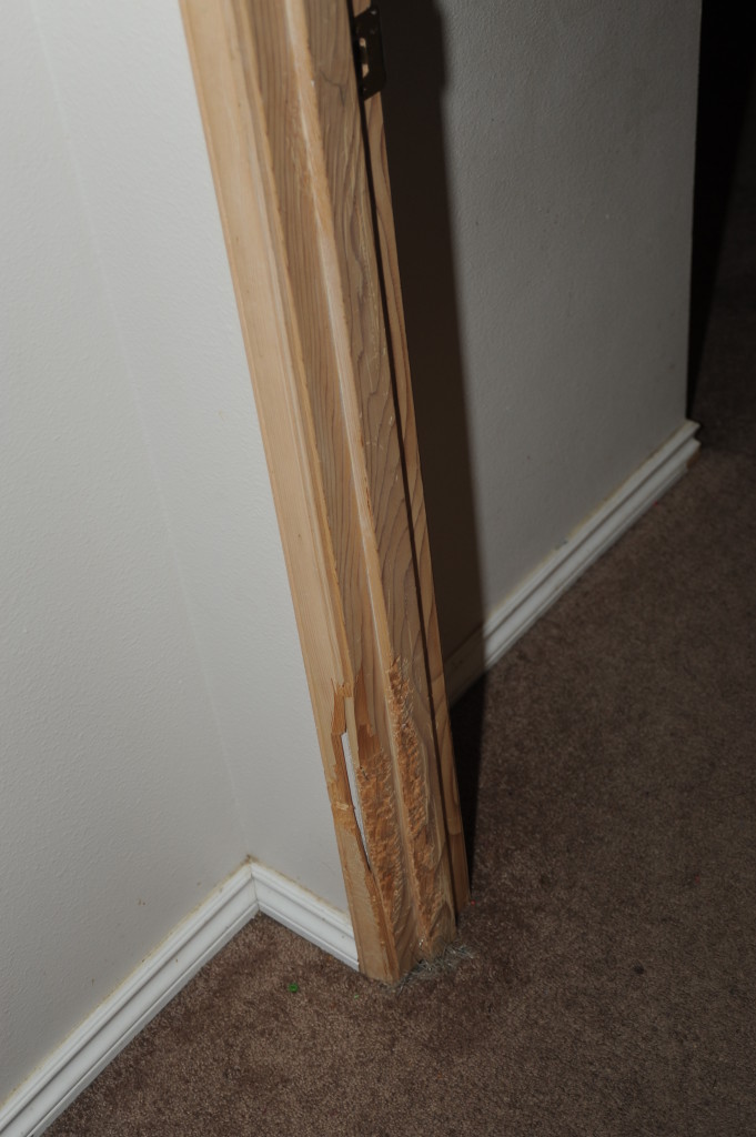 Master bedroom door casing.  (Same as in 2012.  Dog damage.)  Replace door